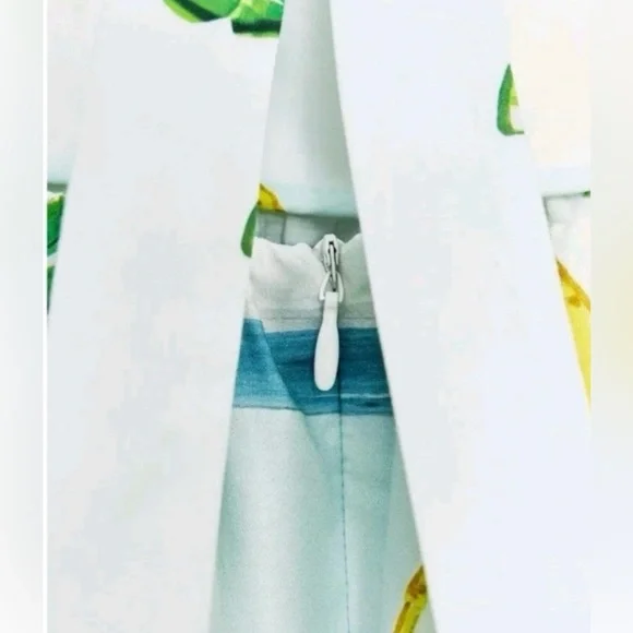 Zara Lemon Print cotton Dress NWT - Picture 13 of 13